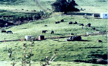 North Island Farm